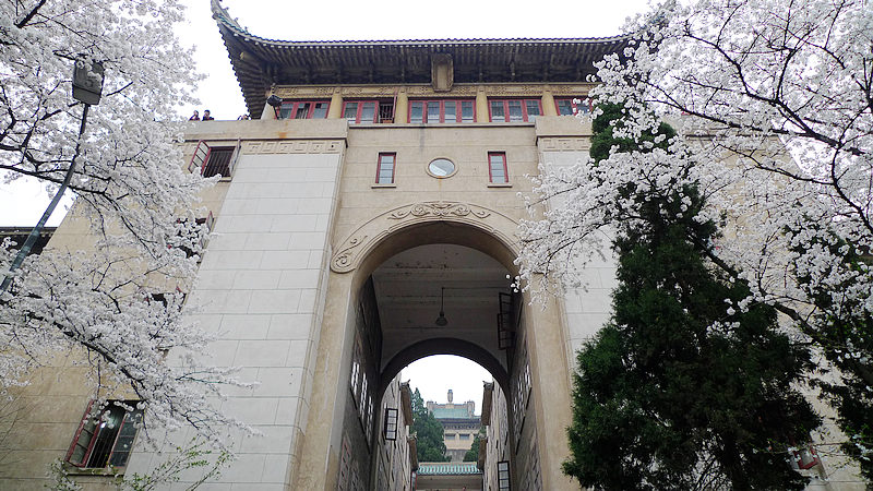 p1130990.jpg