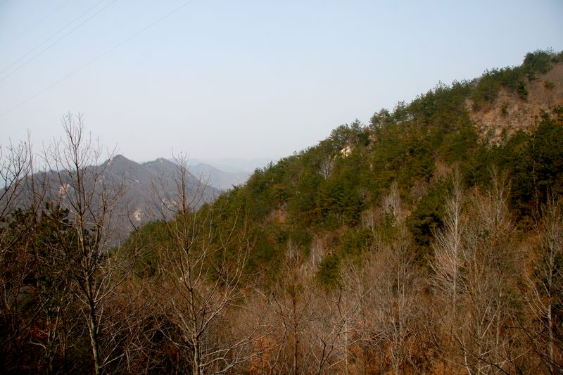 img_3203.jpg