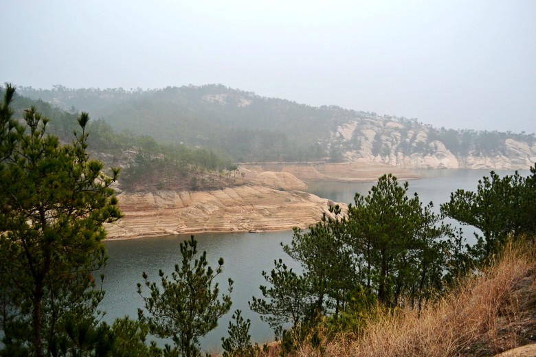  136_conew1.jpg