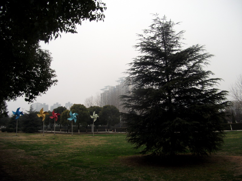 dscf0033.jpg