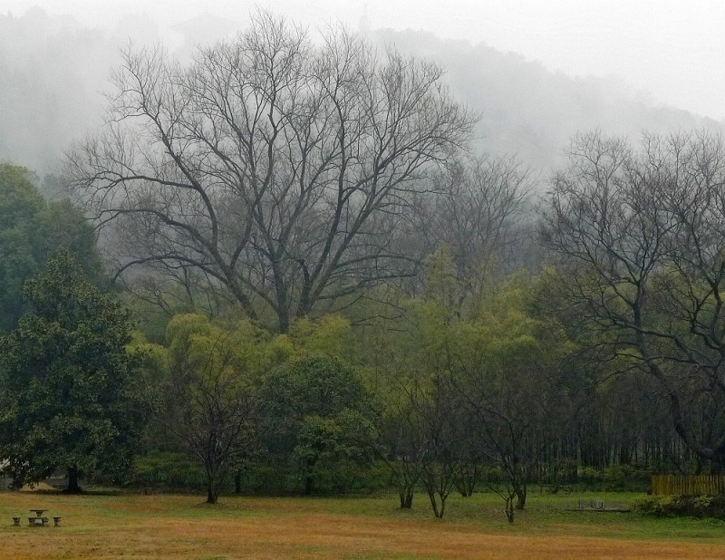 p1040717a.jpg