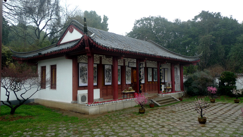 p1070831.jpg