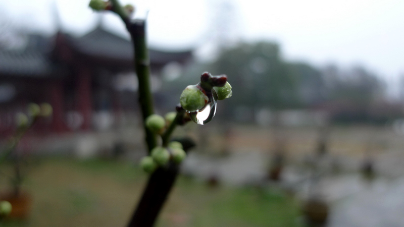 p1070833.jpg