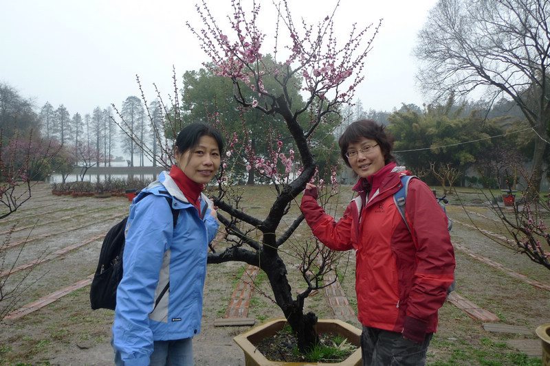 p1070835.jpg