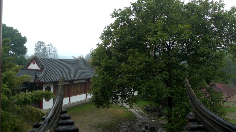 p1070846.jpg