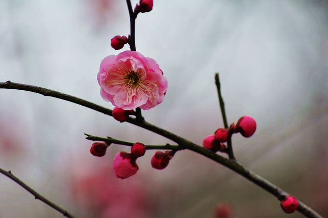 dsc_3930-3.jpg