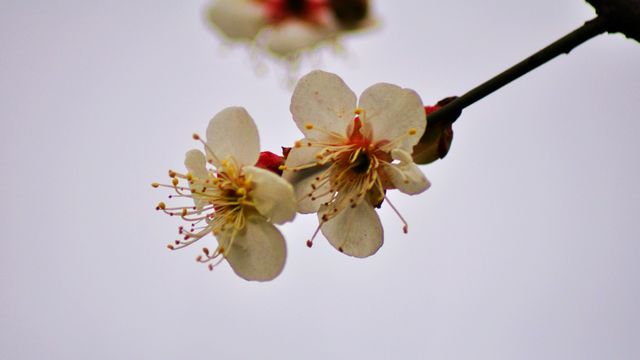 dsc_3936-5.jpg