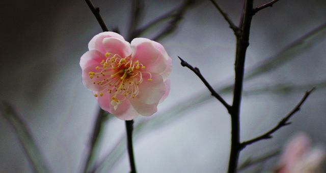 dsc_3944-7.jpg