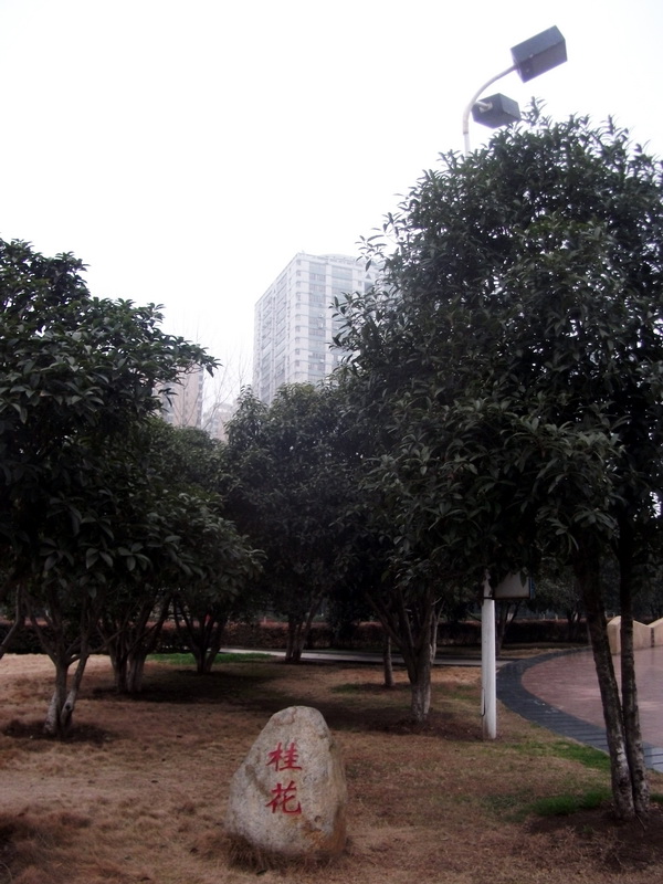 dscf0060.jpg