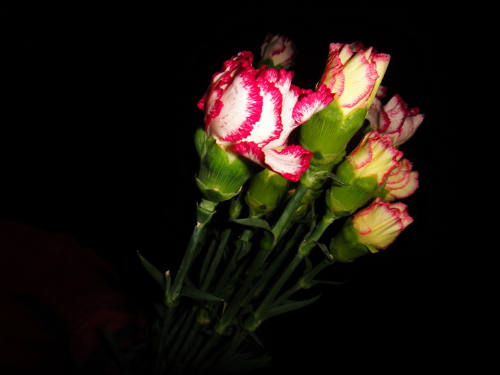dsc04915.jpg