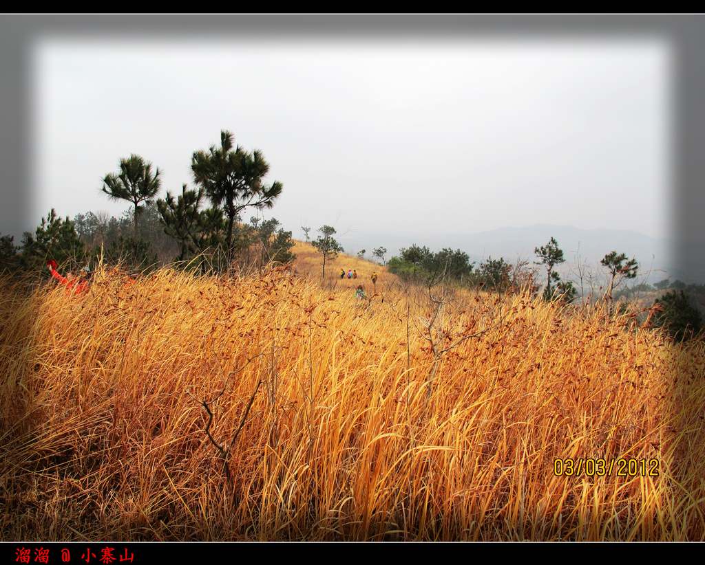 2012.3.3.Сկɽ 099.jpg
