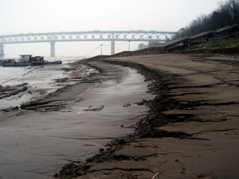 dscf0207.jpg