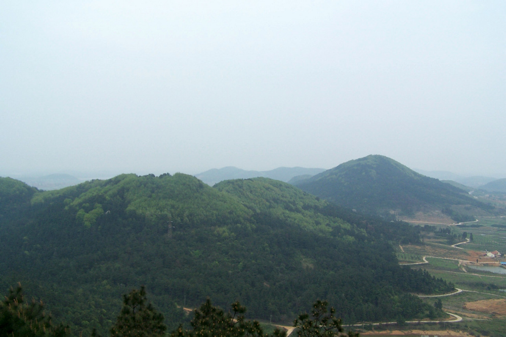 100_9895.jpg