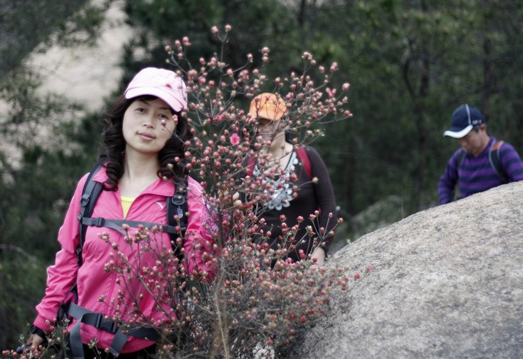 _mg_1205.jpg