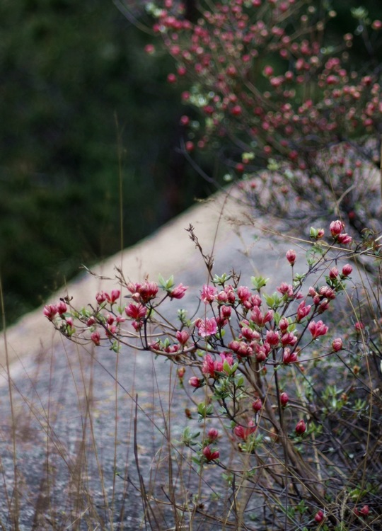 _mg_1218.jpg