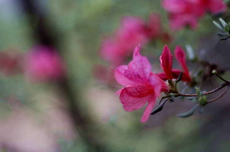 _mg_1219.jpg