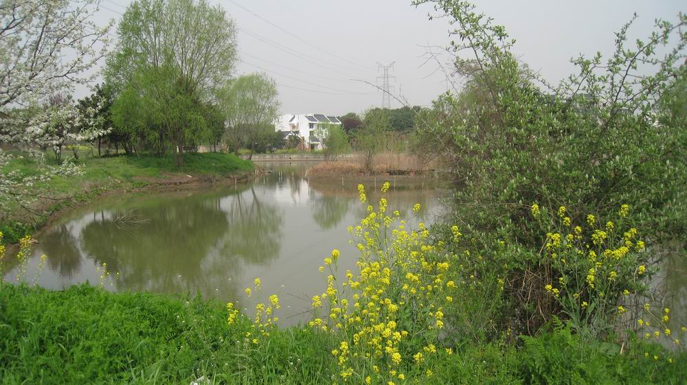 С ۻ 378.jpg