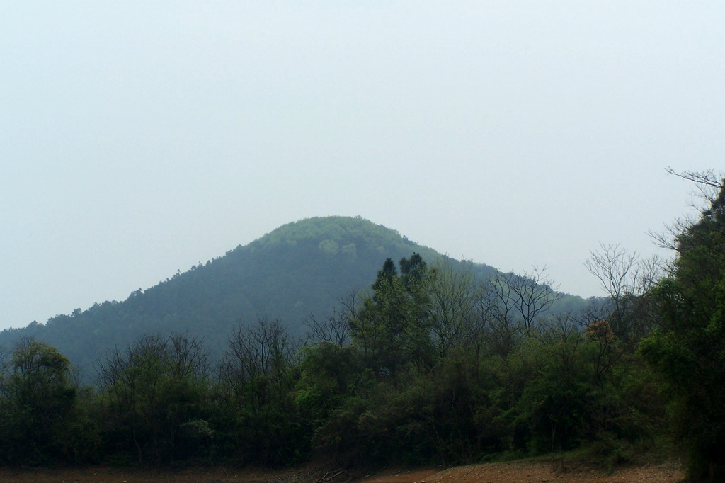 100_9852.jpg