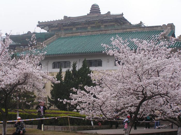 pict0083-1.jpg