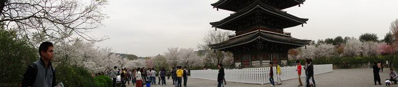 neo_img_dsc00841.jpg