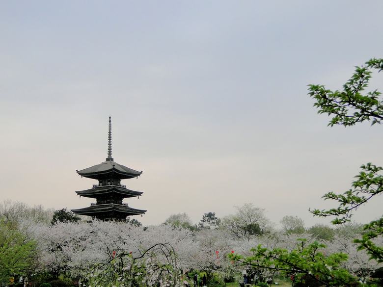neo_img_dsc00907.jpg