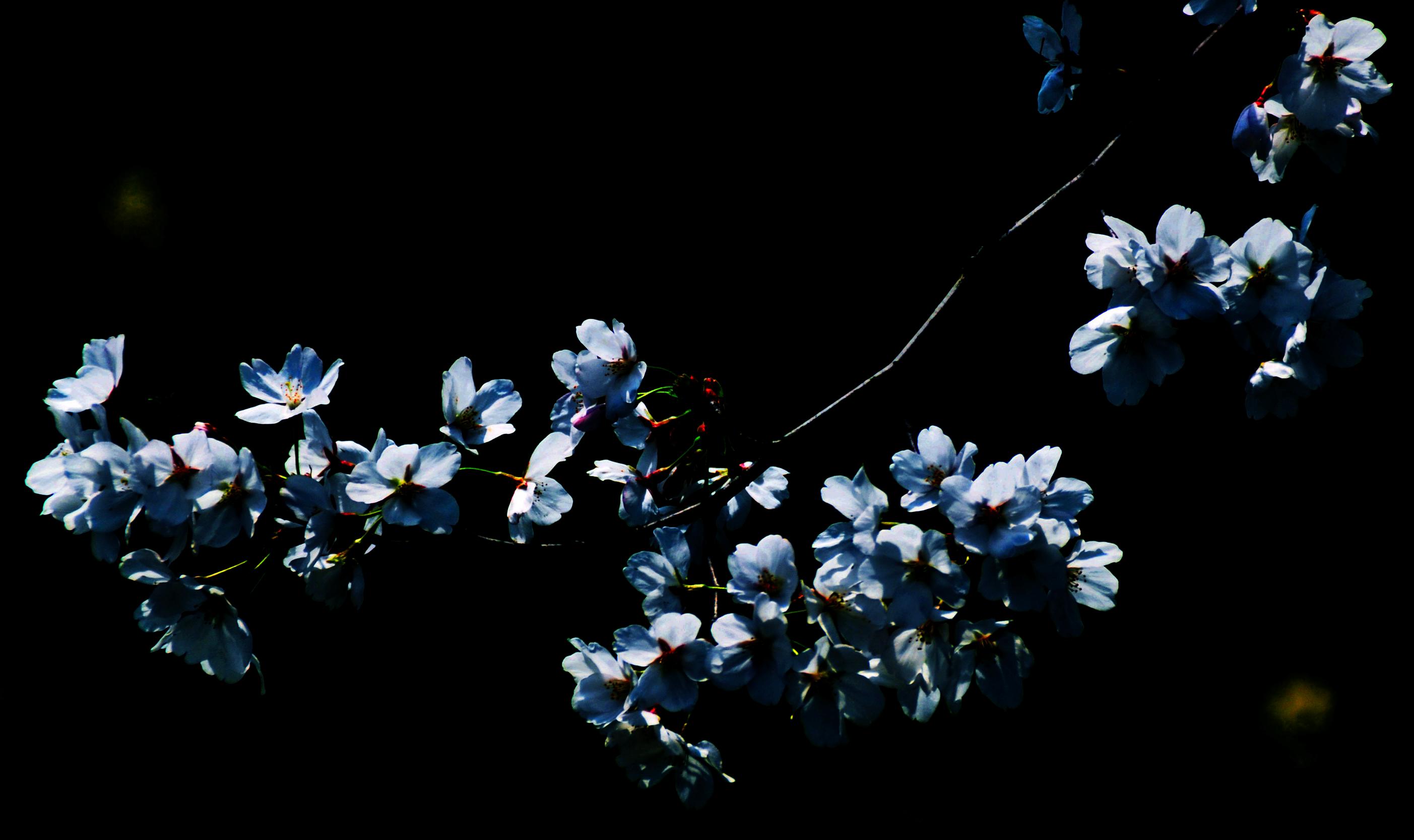 Ƭ 043.jpg