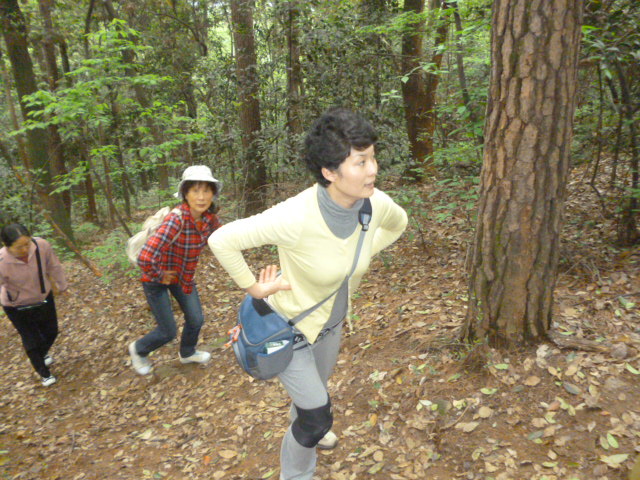 p1010920.jpg