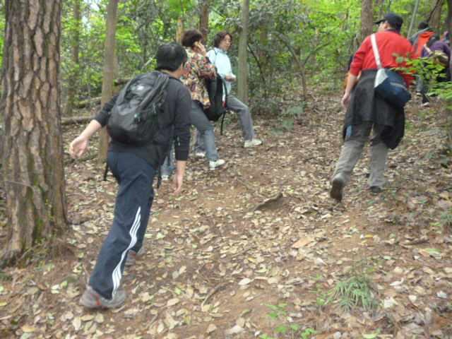 p1010919.jpg