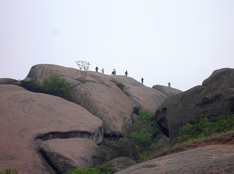 dscn0169_.jpg