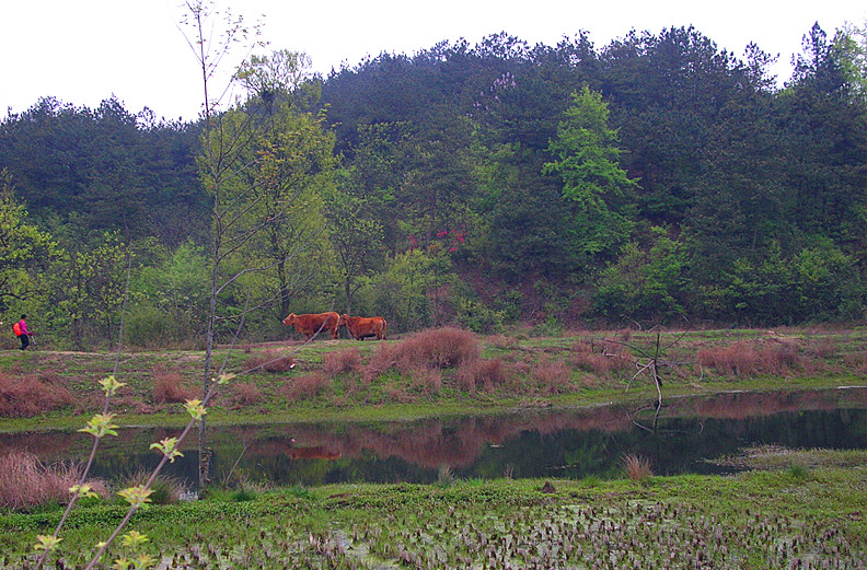 dscn0214_.jpg