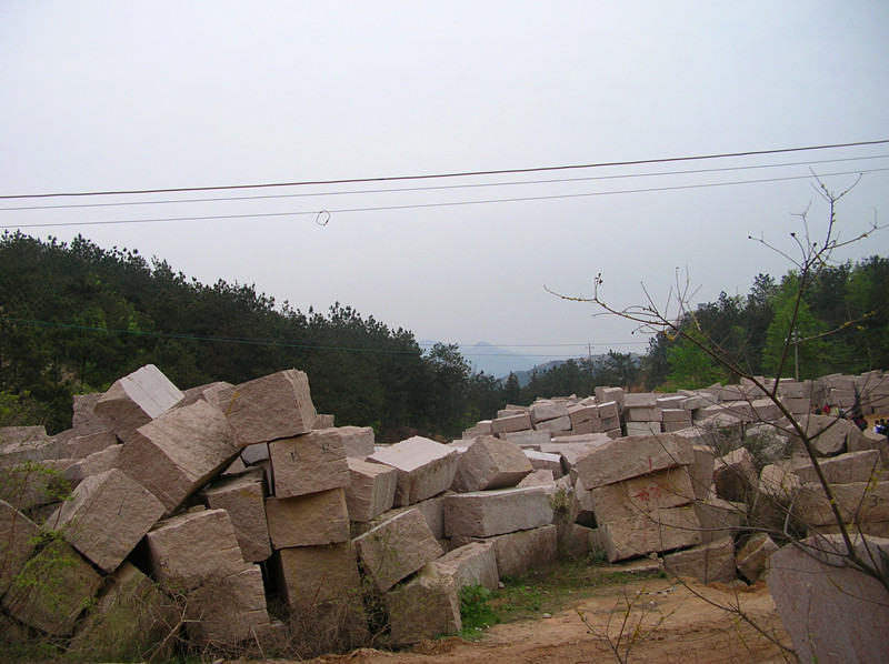 dscn0215_.jpg
