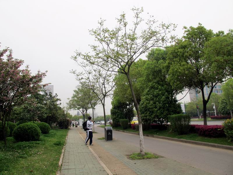 20120414Զ3.8 005.jpg