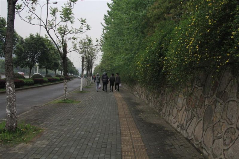 555.jpg