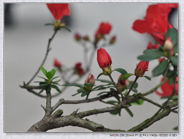 dsc_0137w.jpg