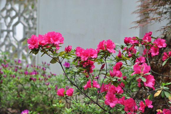 dsc_0238w.jpg