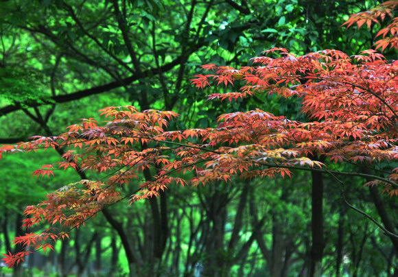 dsc_0228qw.jpg