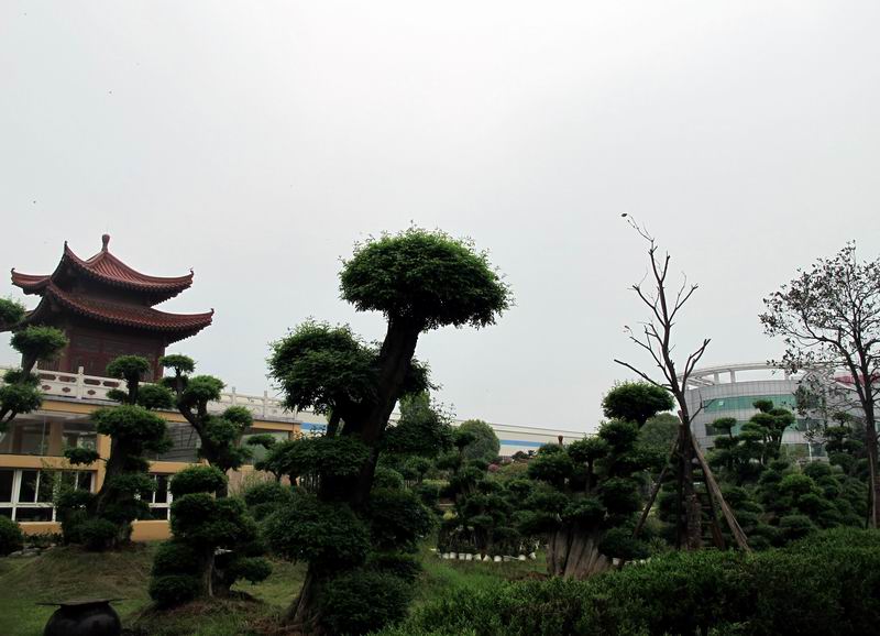 20120414Զ3.8 032.jpg