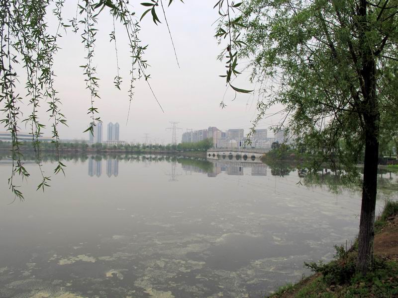 20120414Զ3.8 039.jpg