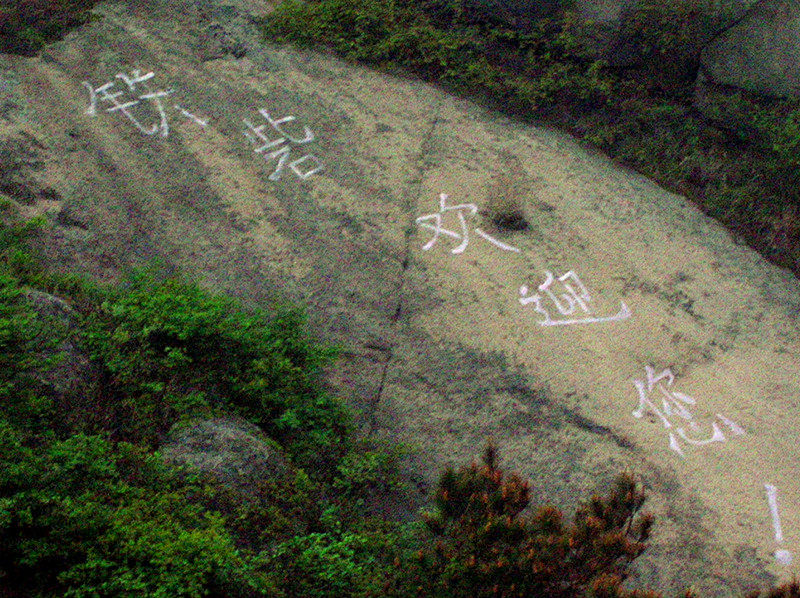 dscn0239_.jpg