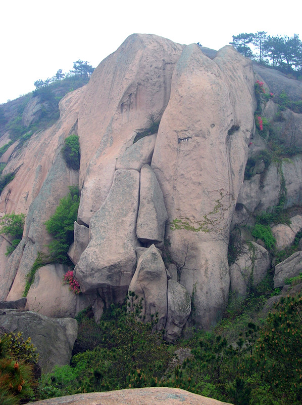 dscn0241_.jpg