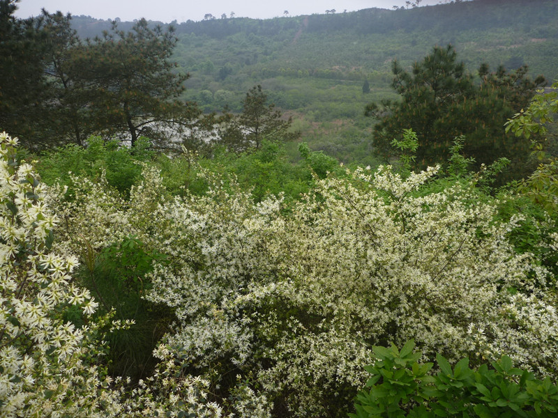 p1110286_.jpg