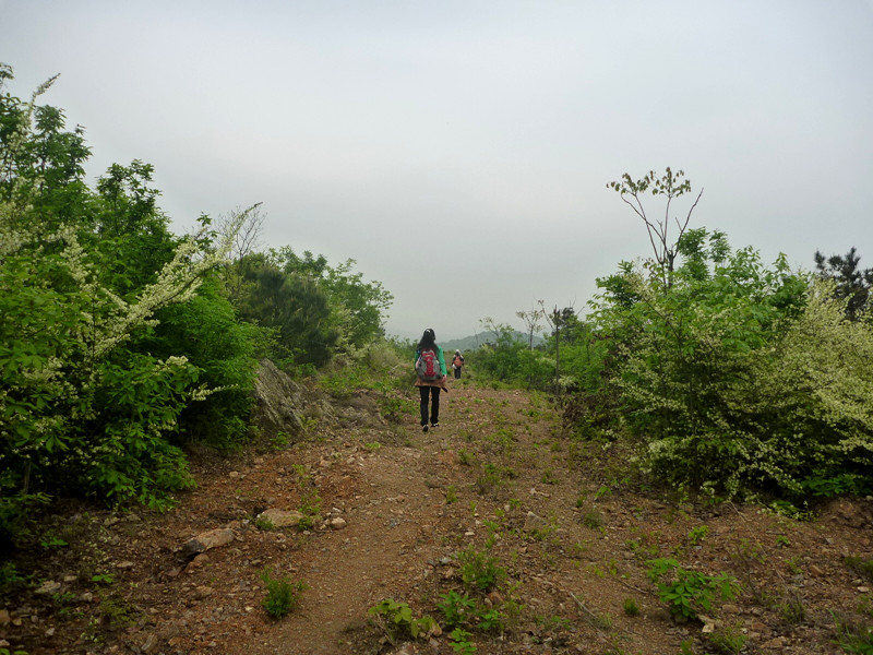 p1110288_.jpg