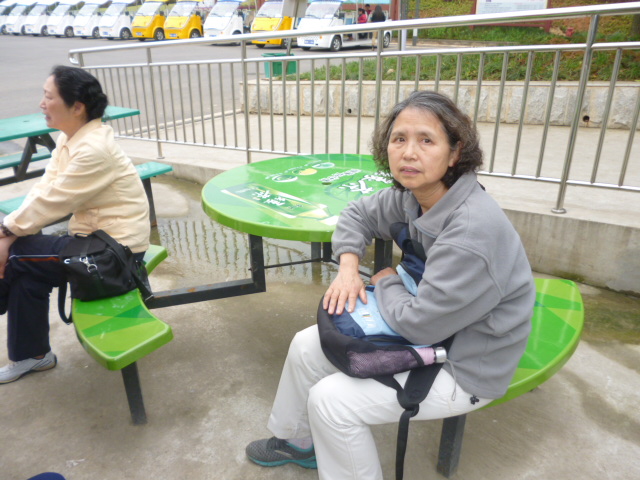 p1010850.jpg