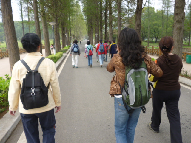 p1010861.jpg