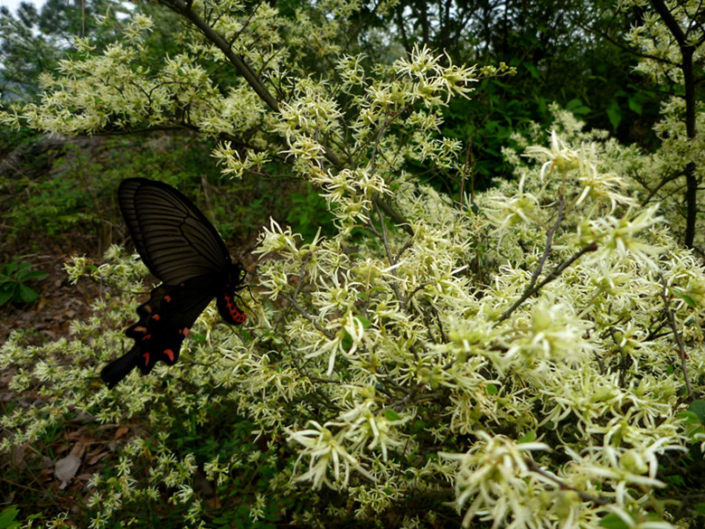 p1110291_.jpg