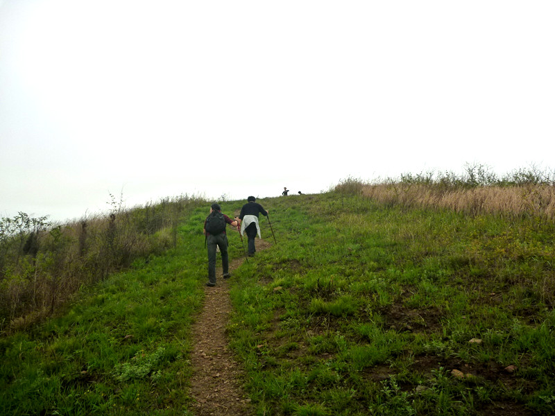 p1110302_.jpg