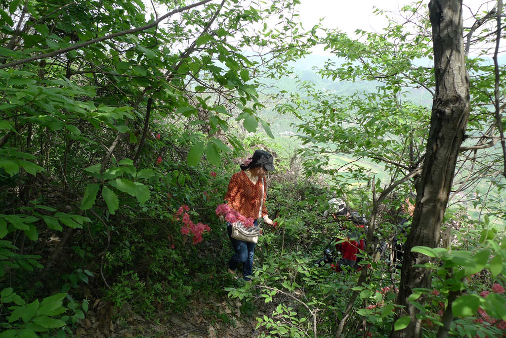 p1080562.jpg