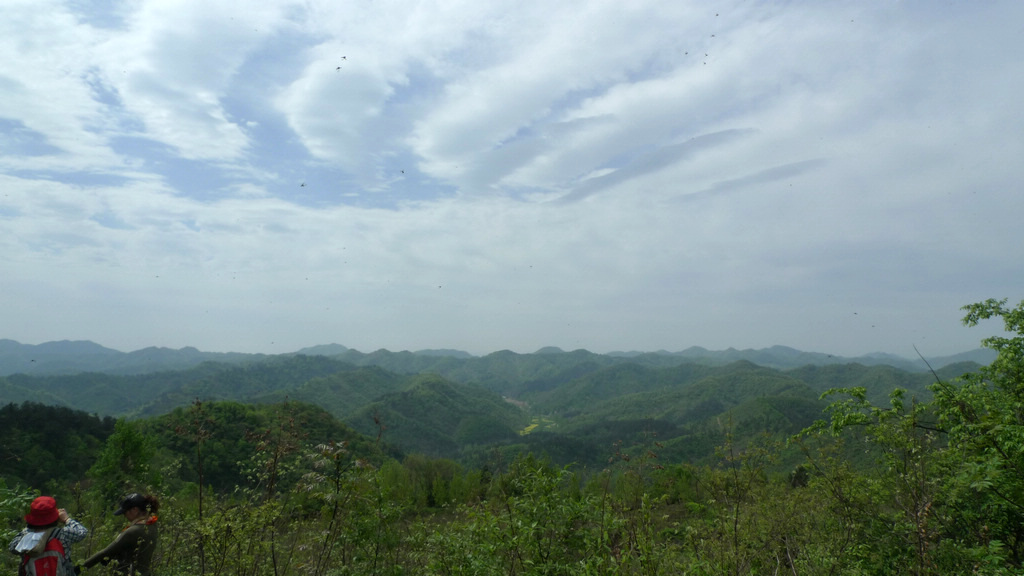 p1080568.jpg