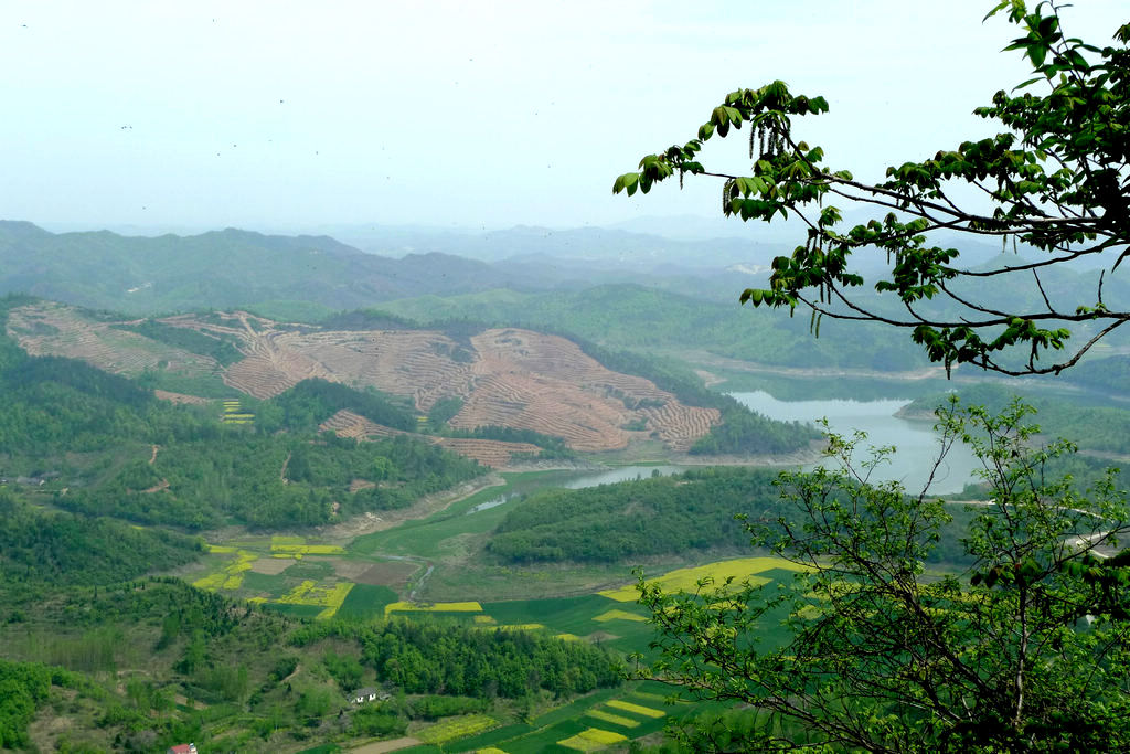 p1080565.jpg