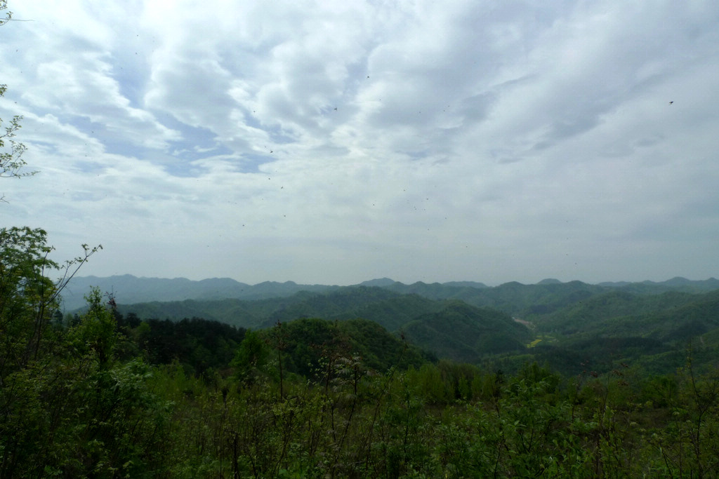 p1080575.jpg